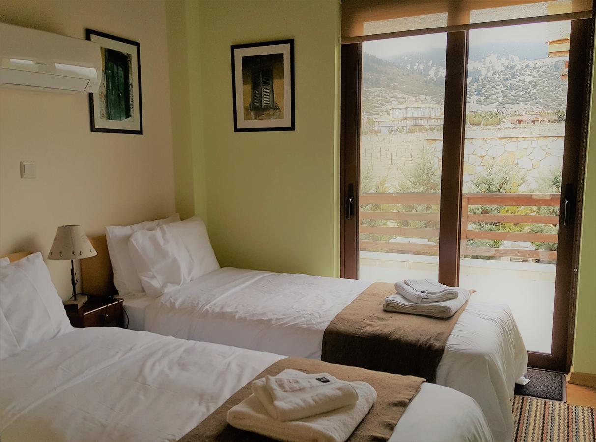 Mountain Chalet Livadi Aráhova Kültér fotó