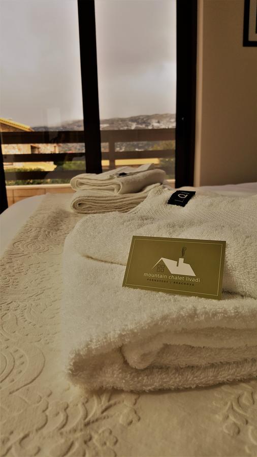 Mountain Chalet Livadi Aráhova Kültér fotó