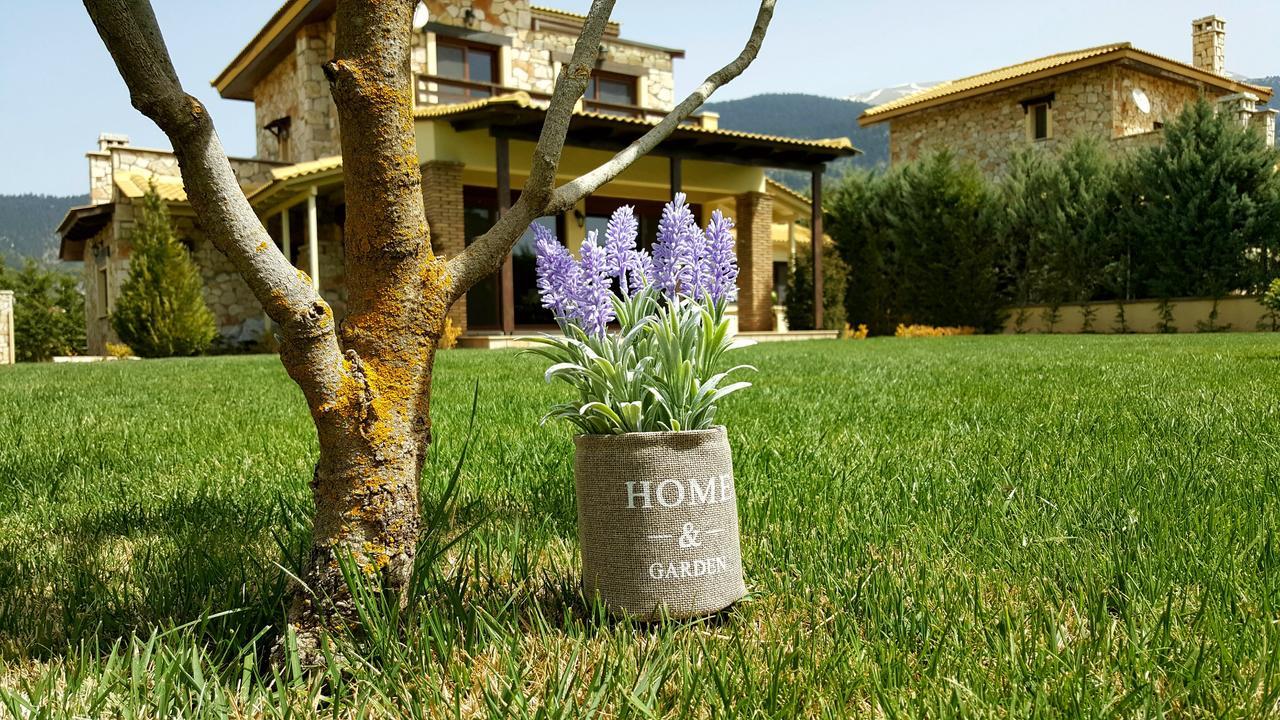 Mountain Chalet Livadi Aráhova Kültér fotó